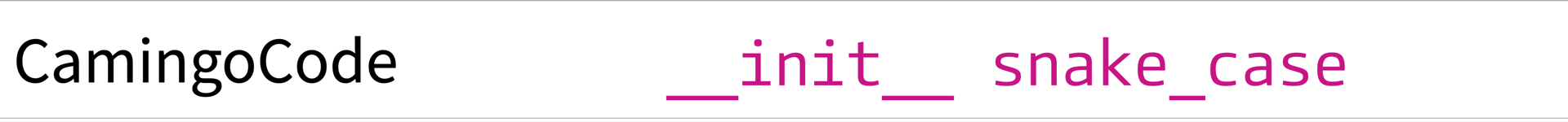 Screenshot of Camingo Code showing the string "__init__ snake_case"