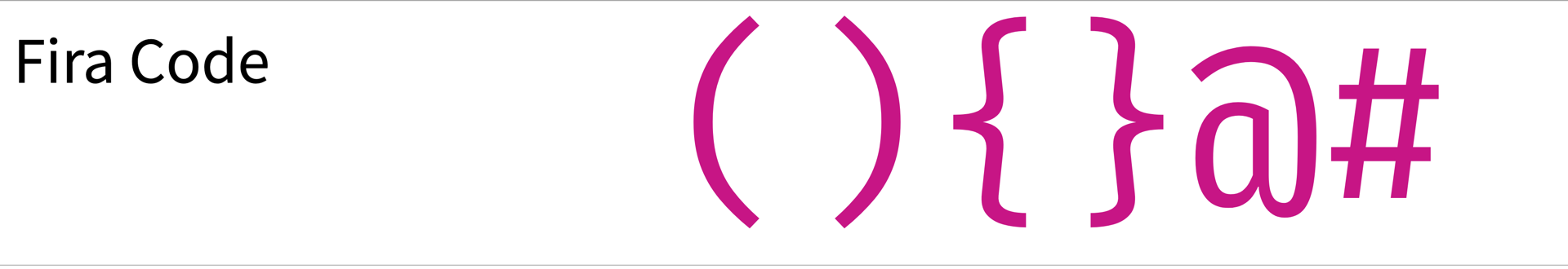 Screenshot of Fira Code showing parenthesis, curly braces, @, and the hash sign