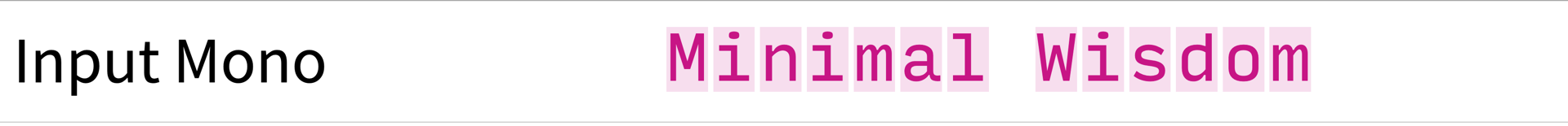Screenshot of Input Mono showing the string "Minimal Wisdom"