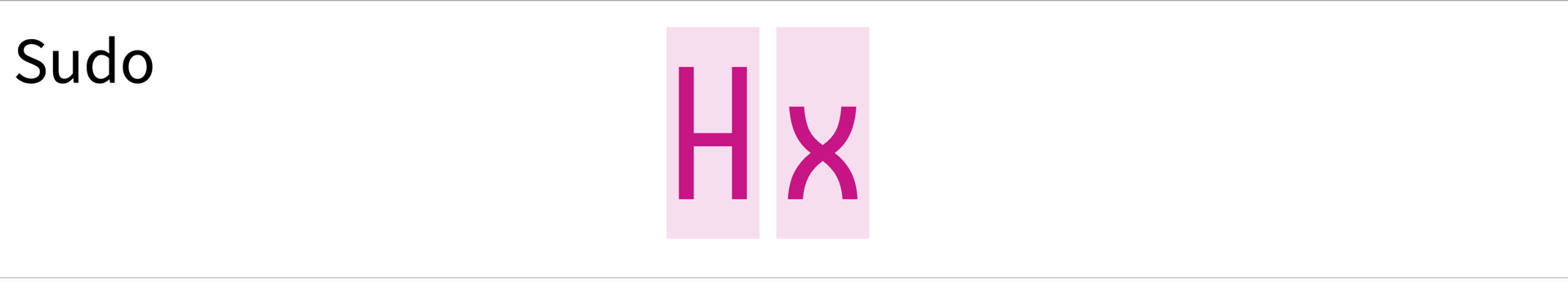 Screenshot of Sudo showing characters: Hx
